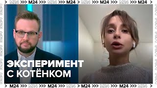 Волонтер Анастасия Ермоленко прокомментировала столичный эксперимент с котенком в коробке