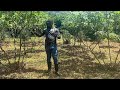 Episode 8: Soil Fertility and Productivity Management (Part 2)