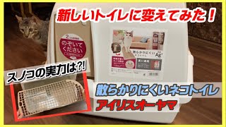 【猫トイレの感想】アイリスオーヤマの散らかりにくいネコトイレ