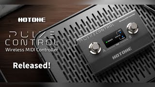 Introducing the Hotone PULZE Control