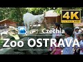 Zoo Ostrava, Czechia, 4K