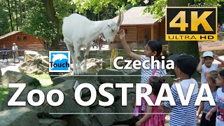 Zoo Ostrava, Czechia, 4K #TouchCzechia
