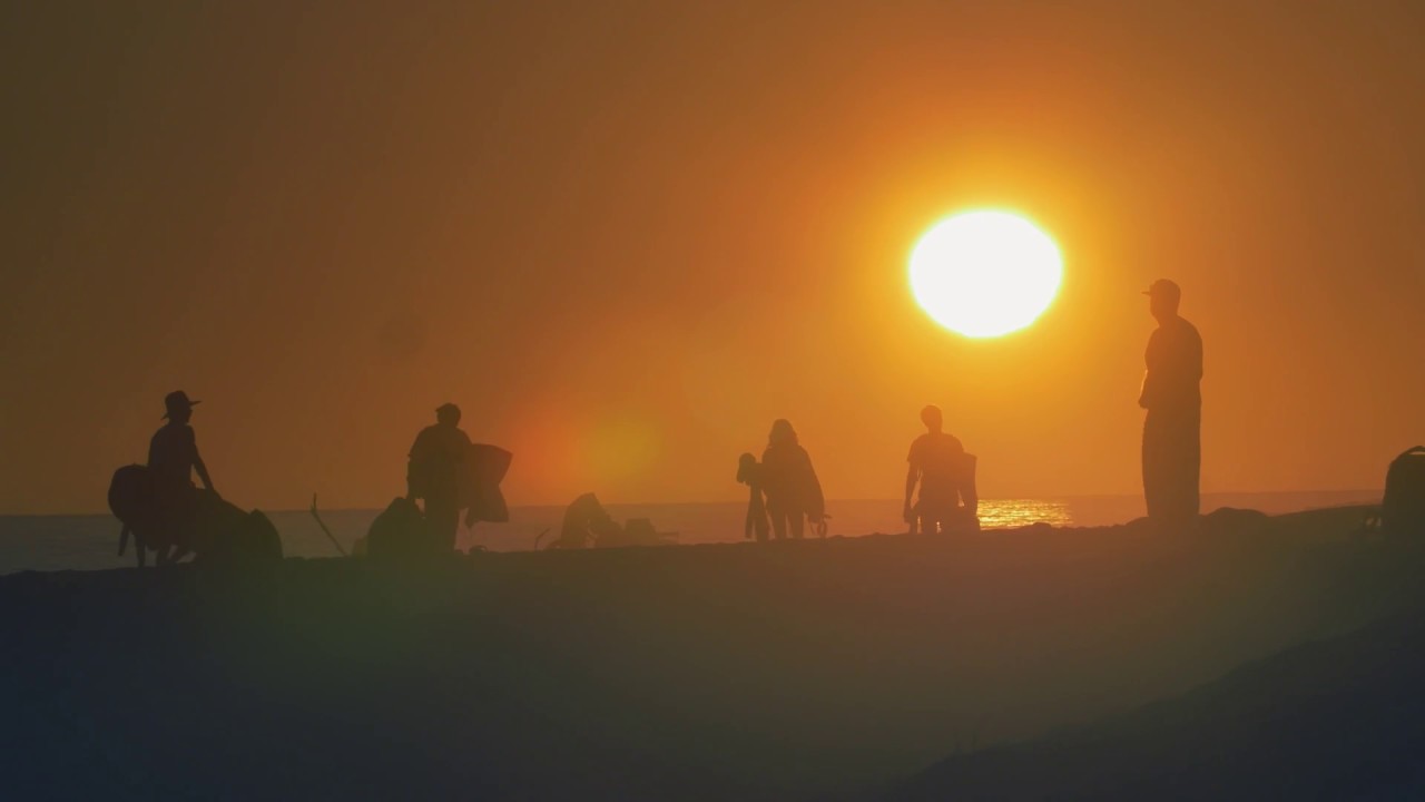 Chapter 1 - Davi Toledo