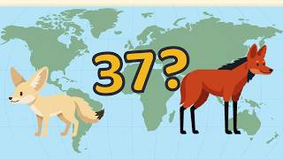 Full ALL THE DOGS, EXPLAINED Guide