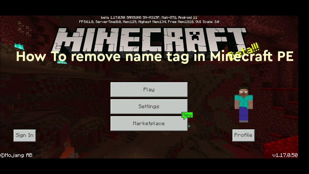 Simplest way to remove name tag in Minecraft pe YouTube