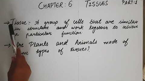 Class 9th science chapter 6 Tissues part1