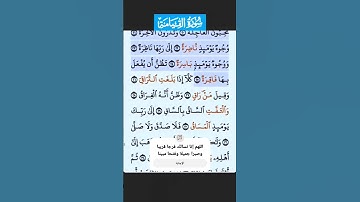 سورة القيامة الاية 20 - 25 فارس عباد