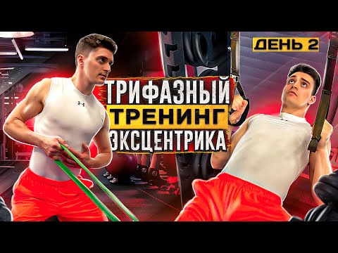 Увеличение силы нападающего удара. Трифазный тренинг. Эксцентрика. День 2