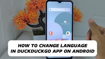 How to Change Language in DuckduckGo app on android