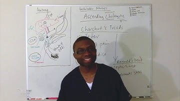 Ascending Cholangitis  Lecture In Hd!