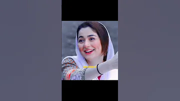 Sardar Drama Episode 463 Sherofficialtv Bollywood Shaheen Comedyvideos 