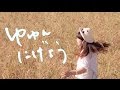 ゆゆん『にげよう』