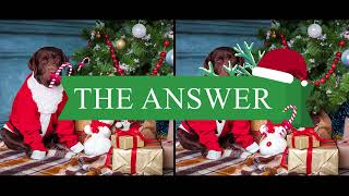 🎅 Christmas 🎄 Spot the Difference | Find the Differences | Christmas Picture Puzzle Game 2023