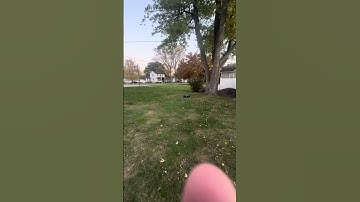 Arrma Notorious 6s huge front flip jump #bashing #arrma #arrmakraton