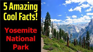 5 Fascinating Facts About Yosemite National Park