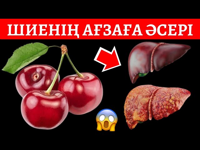 Ша Ризелмен жыныстық қатынас Лесби порно фильмдер онлайн