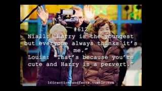 Everything About You By One Direction (Fun Facts)