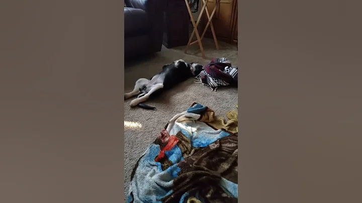 This is how we fall asleep