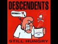 Descendents -  Enjoy