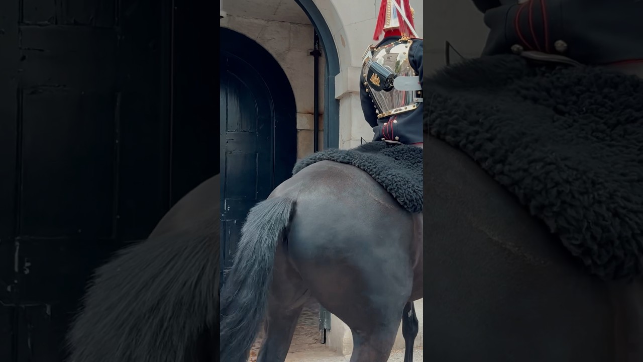 HORSE SPOOKED BY OTHER HORSES | Horse Guards, Royal guard, Kings Guard, Horse, London, 2024