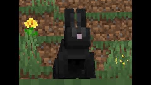 Daily tasks and pulling the new banners