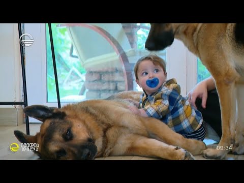 სოციალური ქსელის ვარსკვლავები - სამუელი და მისი მეგობრები, რომელიც მსოფლიომ გაიცნო