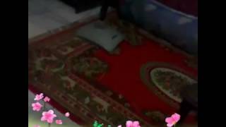 Hidupku Sunyi  The Mercys