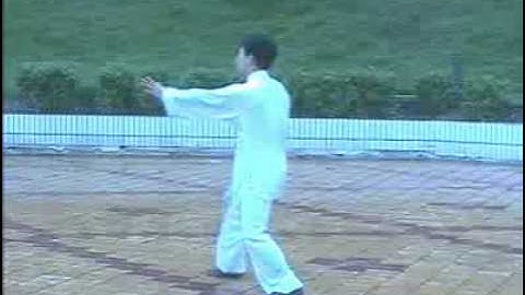 Yang taichi Fast form Nui Chunming Style