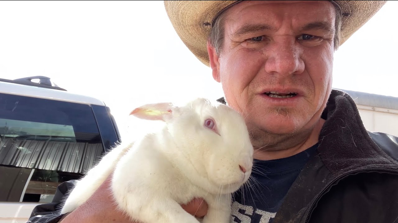 Breeding Rabbits when it’s cold 