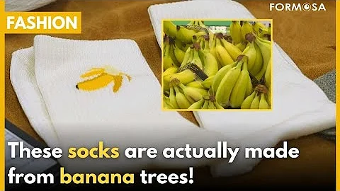 Firm makes ecofriendly fabric from banana tree waste｜Taiwan News