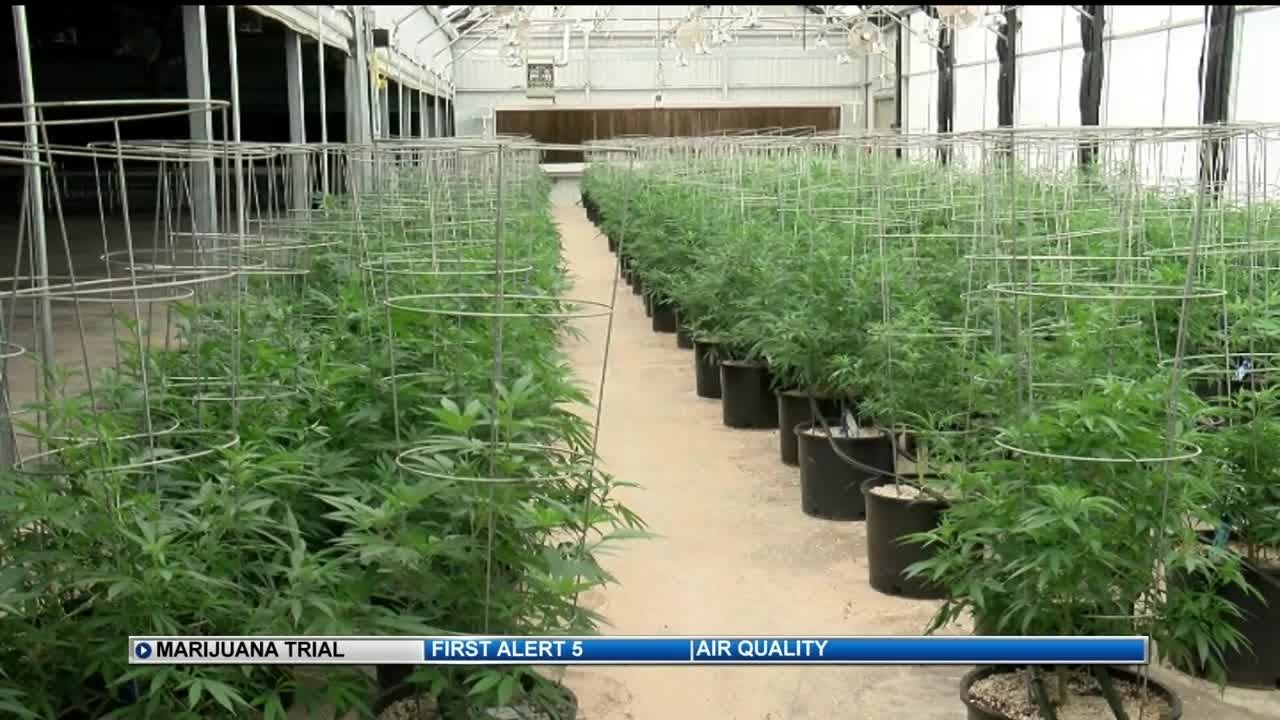 Trial begins in lawsuit over marijuana odor