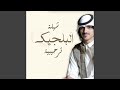 شيلة البلجيك ترحيبية 