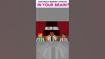 How Much Memory Storage is in Your Brain? 🧠💾