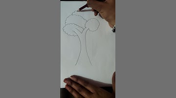 How to draw tree 3d drawing tutorial #art #drawing
