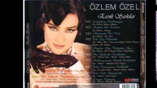 Özlem Özel - Alışmışım Bir Kere Resimi