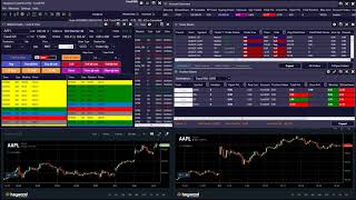Hayward Trader Tutorial | Market Depth + OCO