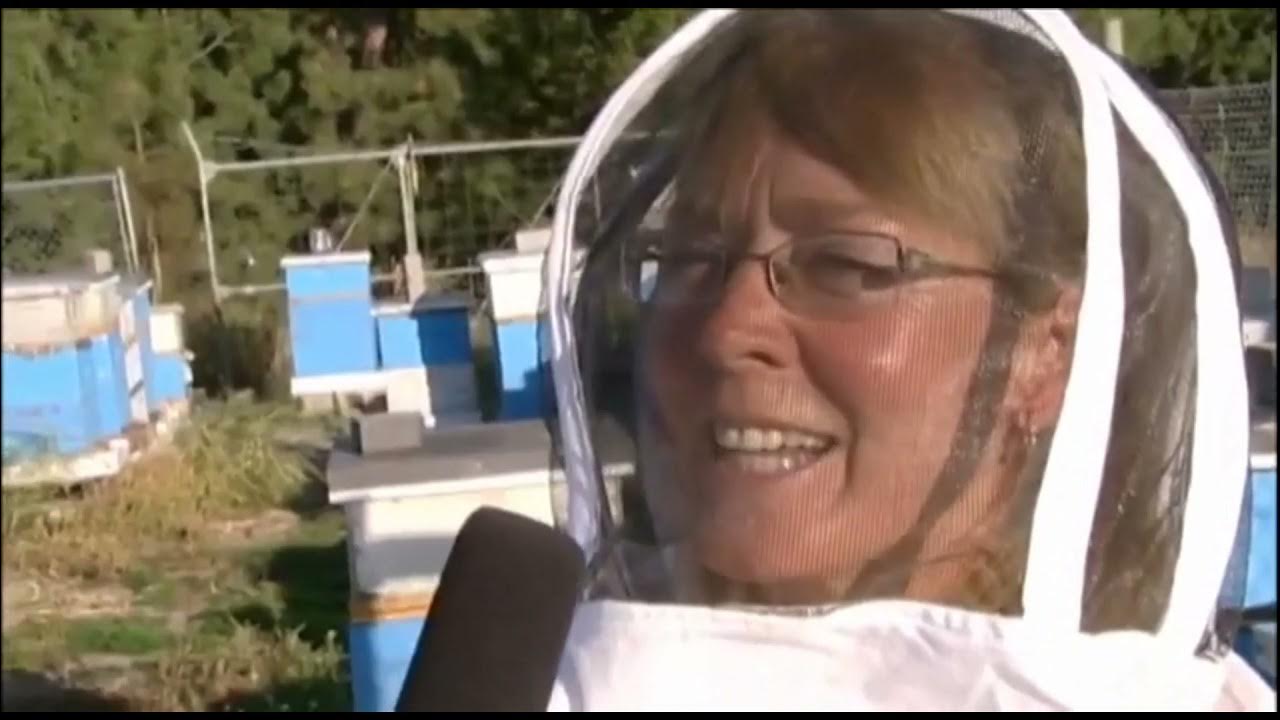 A taste of Kelowna honey. YouTube