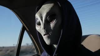 MARCHA: FASES Y SUBFASES