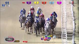 Download lagu Choego Money - Seoul Racecourse - Saturday August 18, 2018