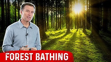 Use Forest Bathing for Immune Boosting