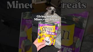 Minecraft Dog Treats! #minecraft #pets #dog #dogtreats #minecraftirl #minecraftdog #dogs #petdog