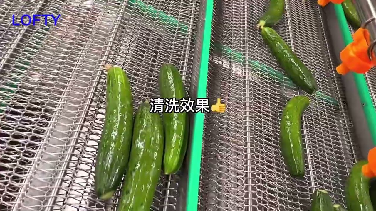 Cucumber Vegetable Washing Machine Industrial