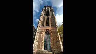 Cathedral Grote of Sint-Laurenskerk - open the door automatic, Rotterdam, Holland