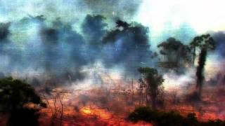 Rainforest - Tribali