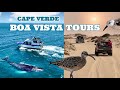 BOA VISTA TOURS // CAPE VERDE
