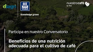 Beneficios de una nutrición adecuada para el cultivo de café