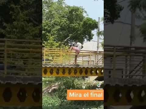 broma de la