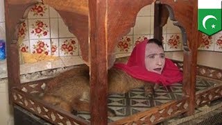 Полуженщина-полулиса предсказывает будущее Полуженщина-полулиса предсказывает будущее