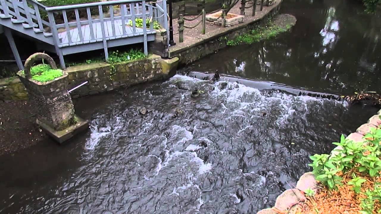 Spring Creek in Lodi Wisconsin YouTube
