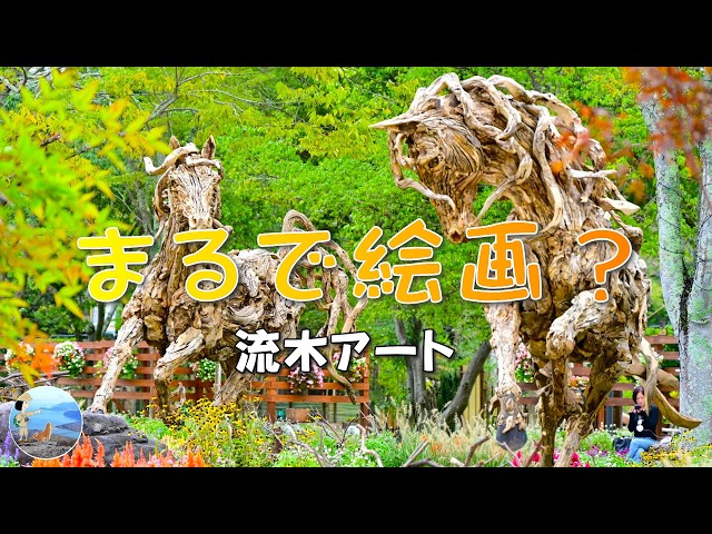 Urban Greening Fair 2026: Driftwood Art at Kameoka Sports Park